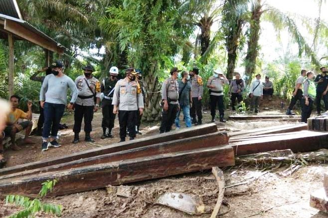 Salah satu aksi pembalakan liar yang ditemukan jajaran Polda Jambi bersama Polres Muaro Jambi.