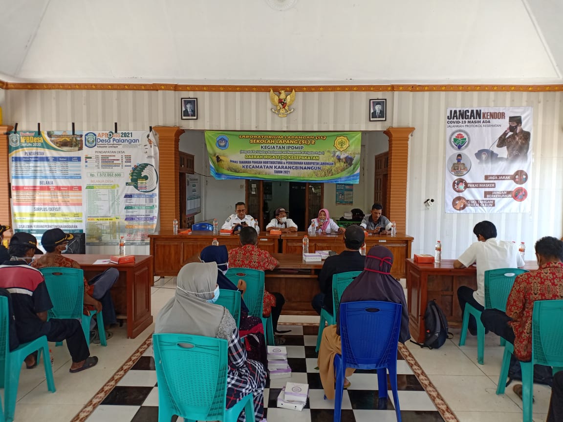 Sekolah Lapang IPDMIP di Poktan Gotong Royong, Desa Palangan, Kecamatan Karangbin, Lamongan, Jawa Timur.