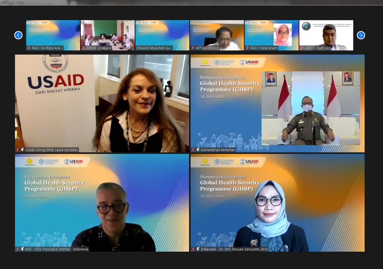 Peluncuran Program Ketahanan Kesehatan Global (Global Health Security Programme /GHSP) secara daring pada Selasa (29/6).