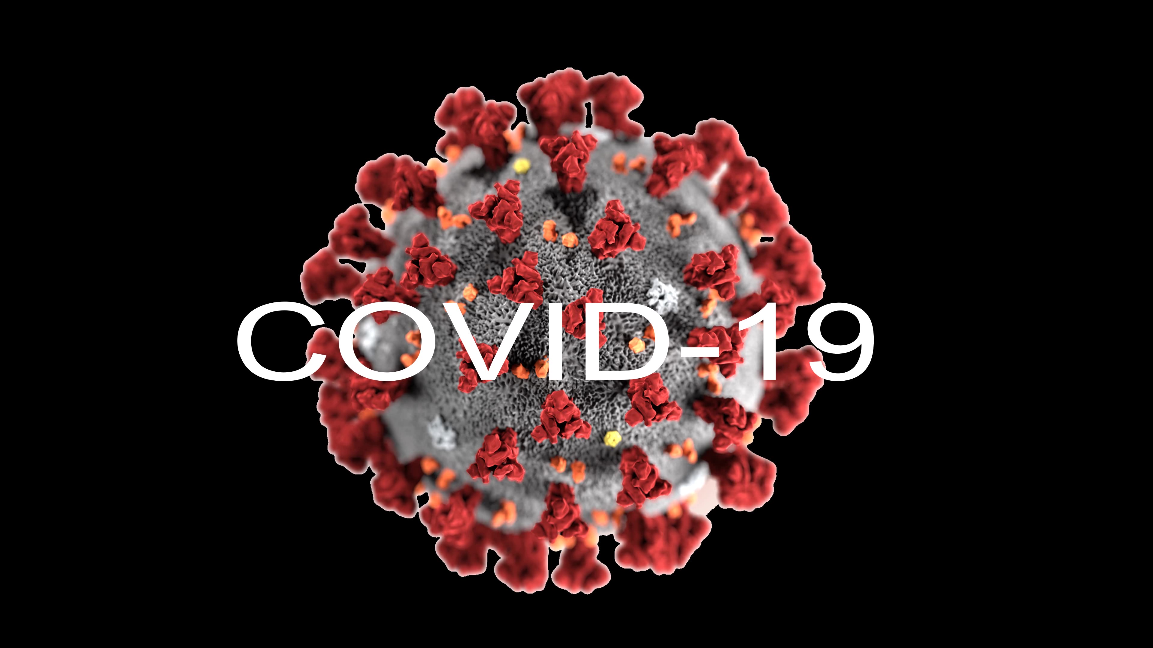 Jokowi Minta Anies Tekan Lonjakan Kasus Covid-19 di Jakarta