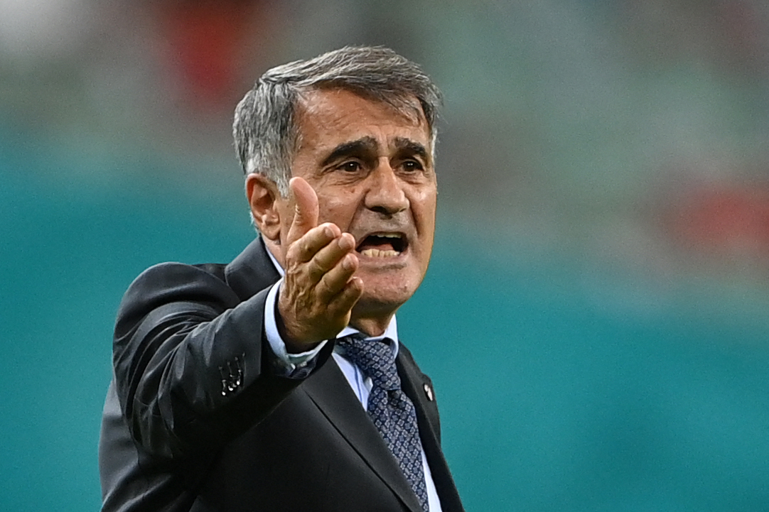 Pelatih timnas Turki Senol Gunes