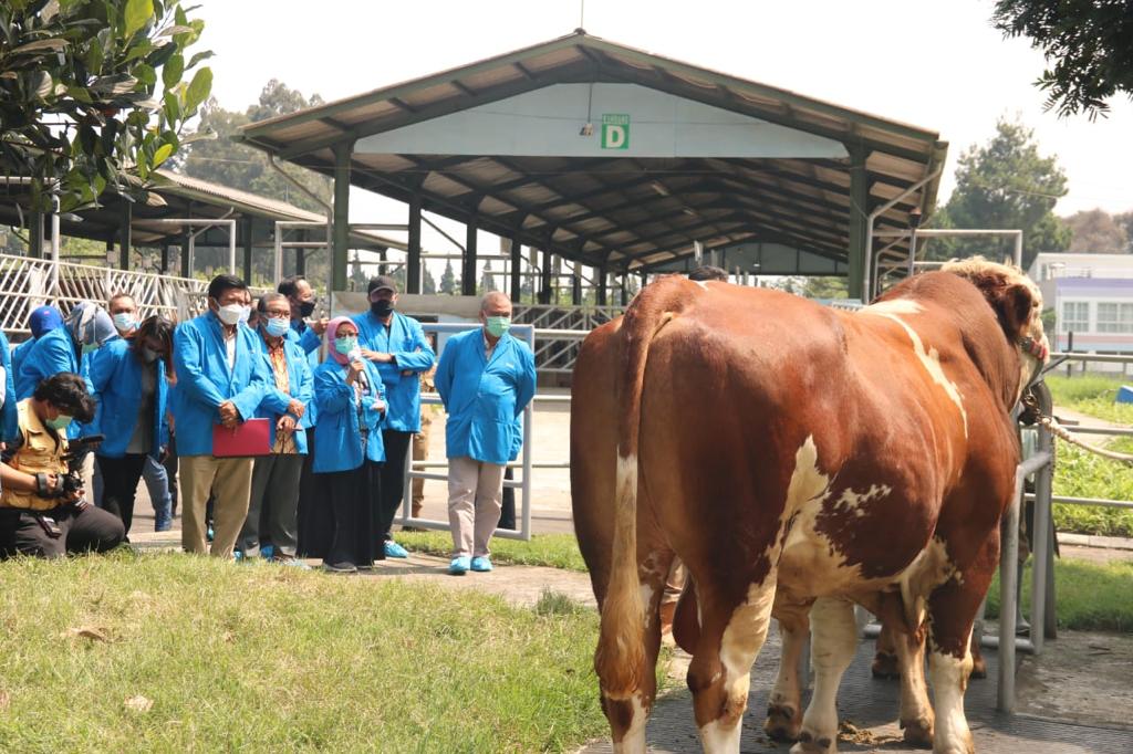 Kementan Targetkan Bangun UPT Perbibitan di Indonesia Timur