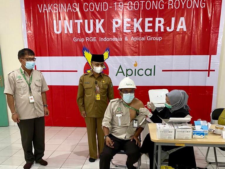 Karyawan Apical Dumai mendapatkan suntikan pertama vaksinasi Covid-19 mandiri atau vaksinasi gotong royong.
