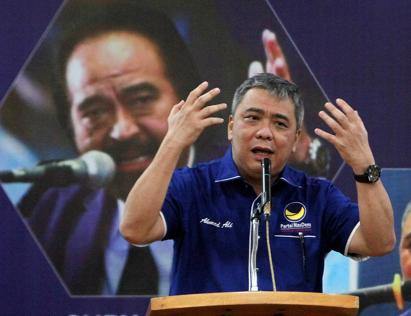 Wakil Ketua Umum Partai NasDem Ahmad Ali 