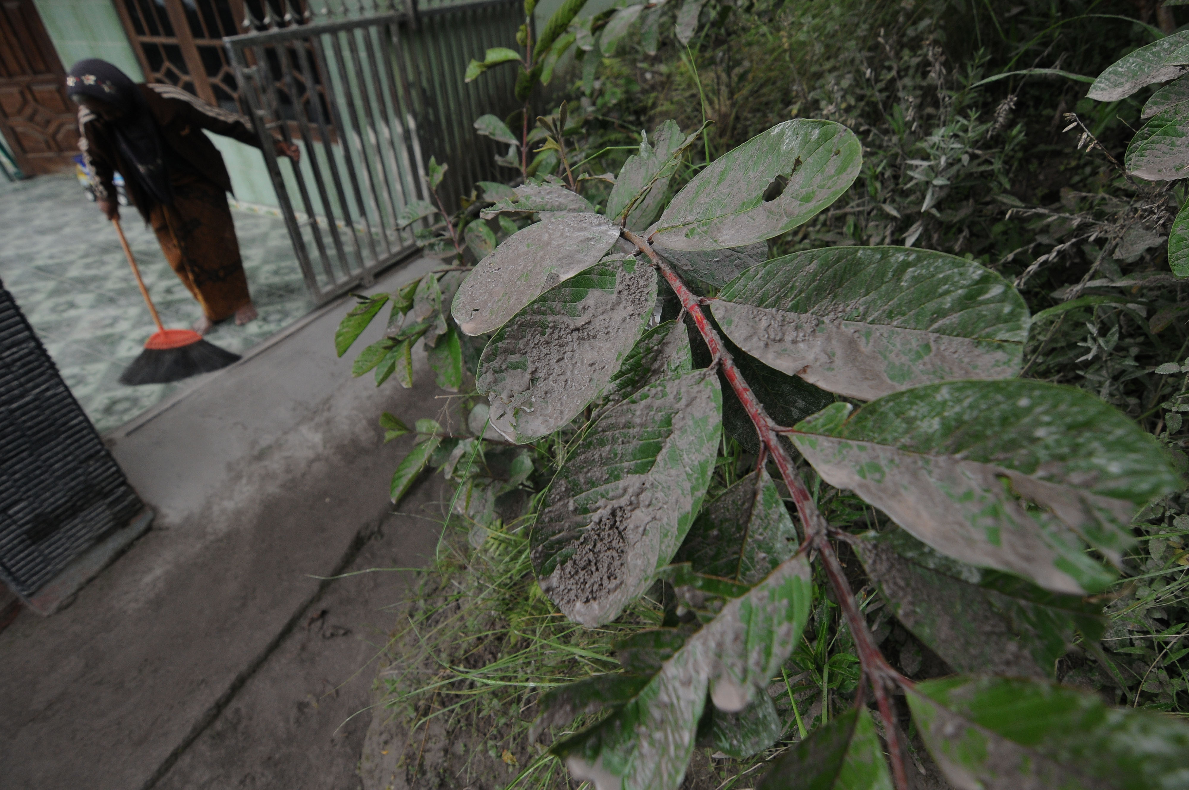 Ilustrasi--hujan abu