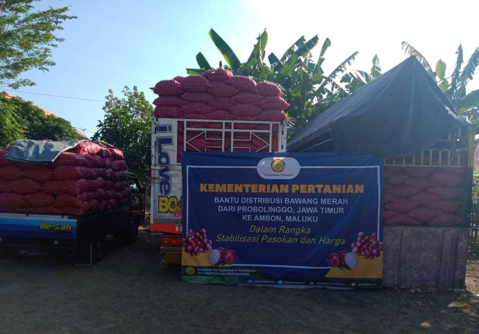 Stabilkan Pasokan, Kementan Subsidi Distribusi Bawang dan Ayam