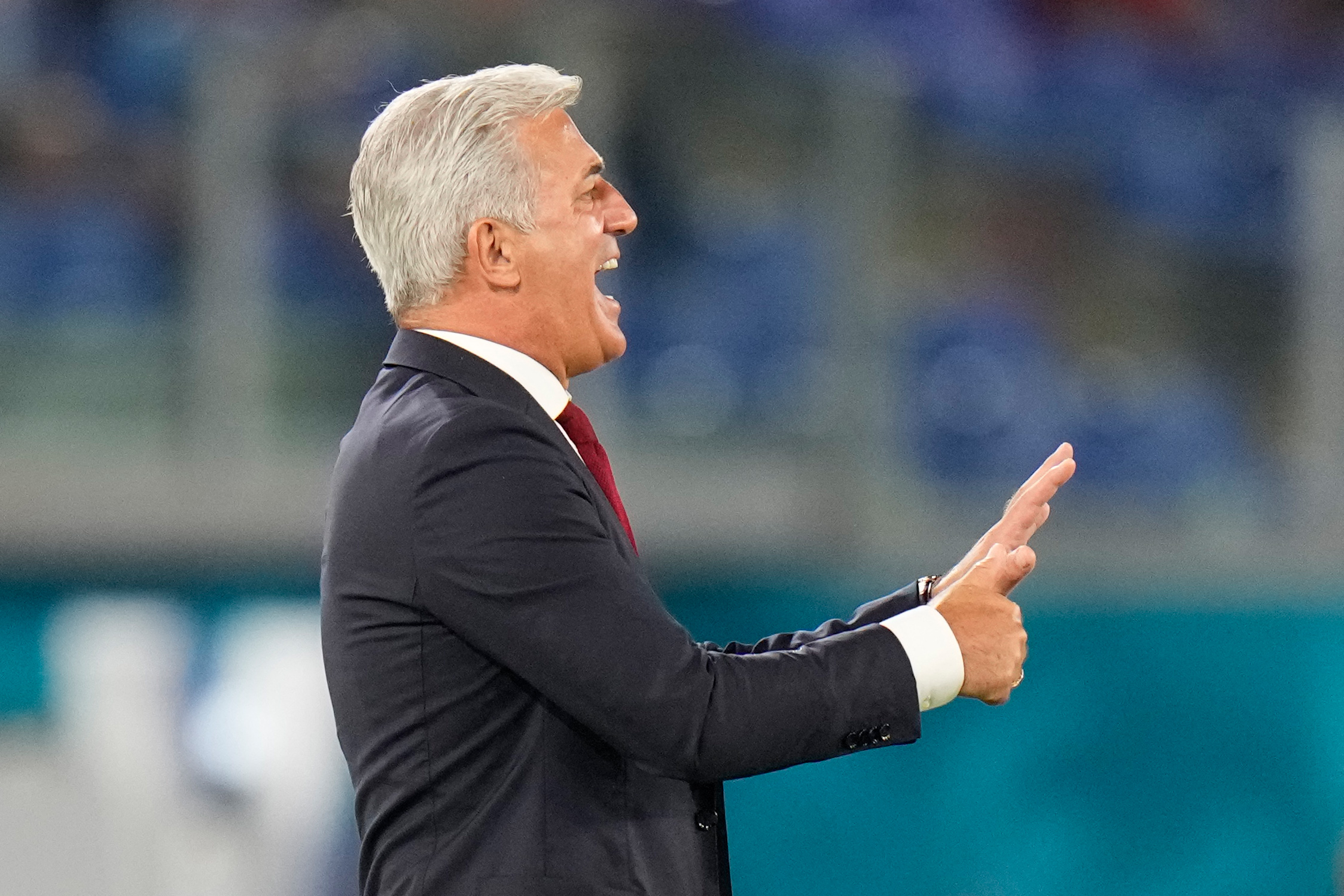 Pelatih timnas Swiss Vladimir Petkovic