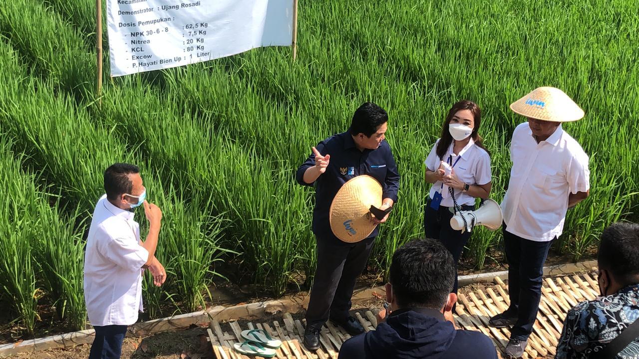 menteri BUMN Erick Thohir meninjau Program Petani Berdaya