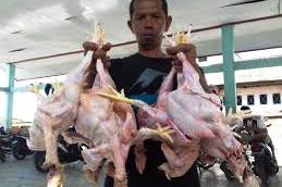 Pedagang ayam di Pasar Pante Teungoh, Kota Sigli, Ibu Kota Kabupaten Pidie. 