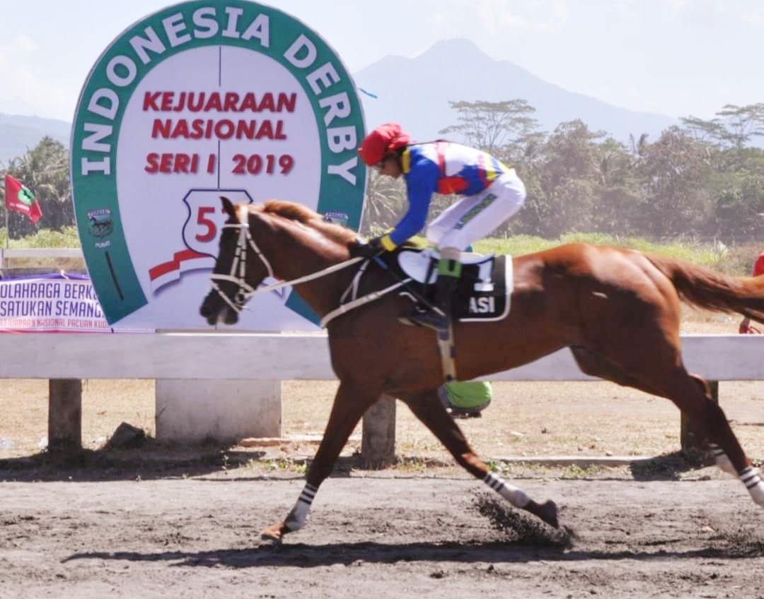 Ilustrasi Kejurnas PAcuan kuda