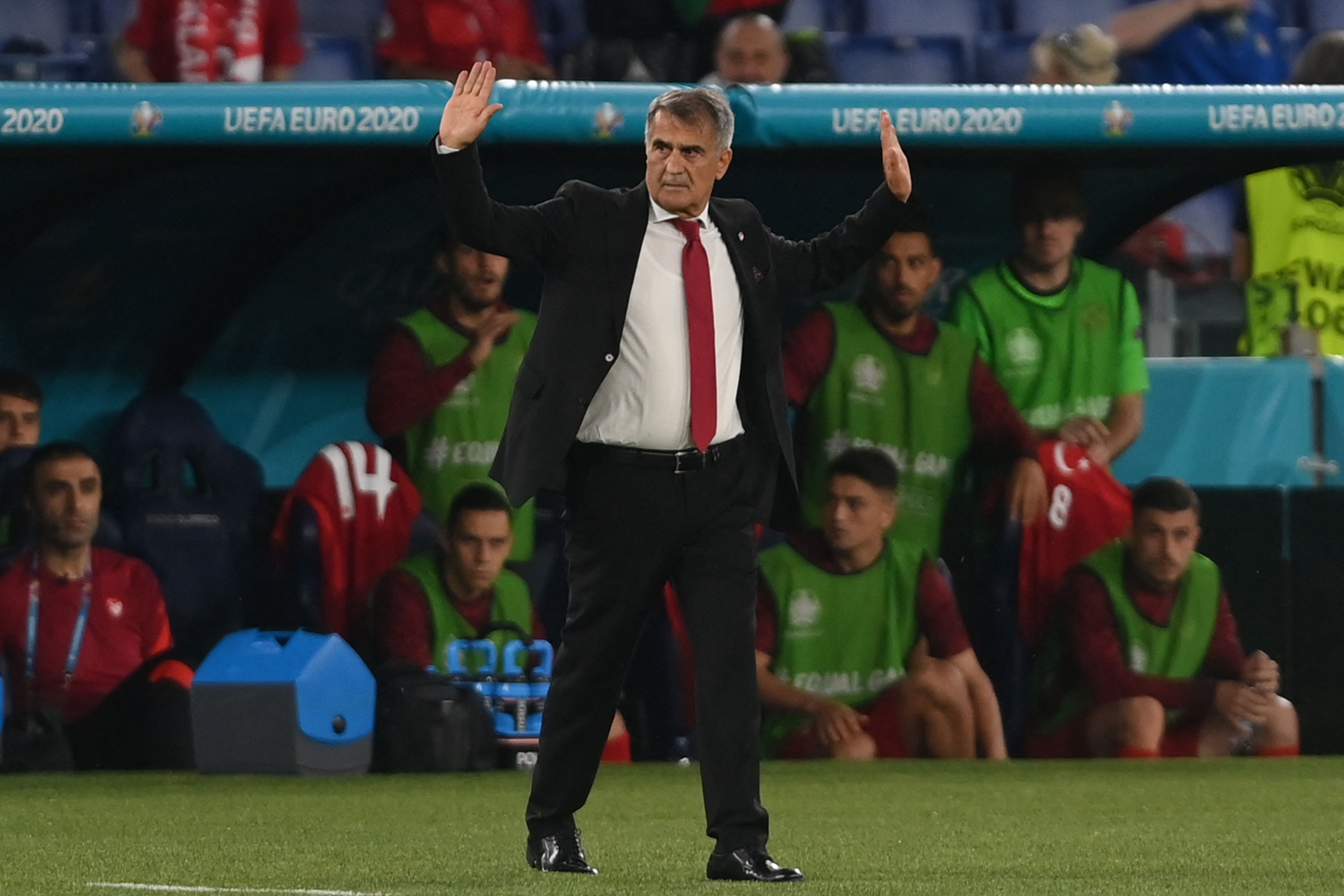 Pelatih Turki Senol Gunes