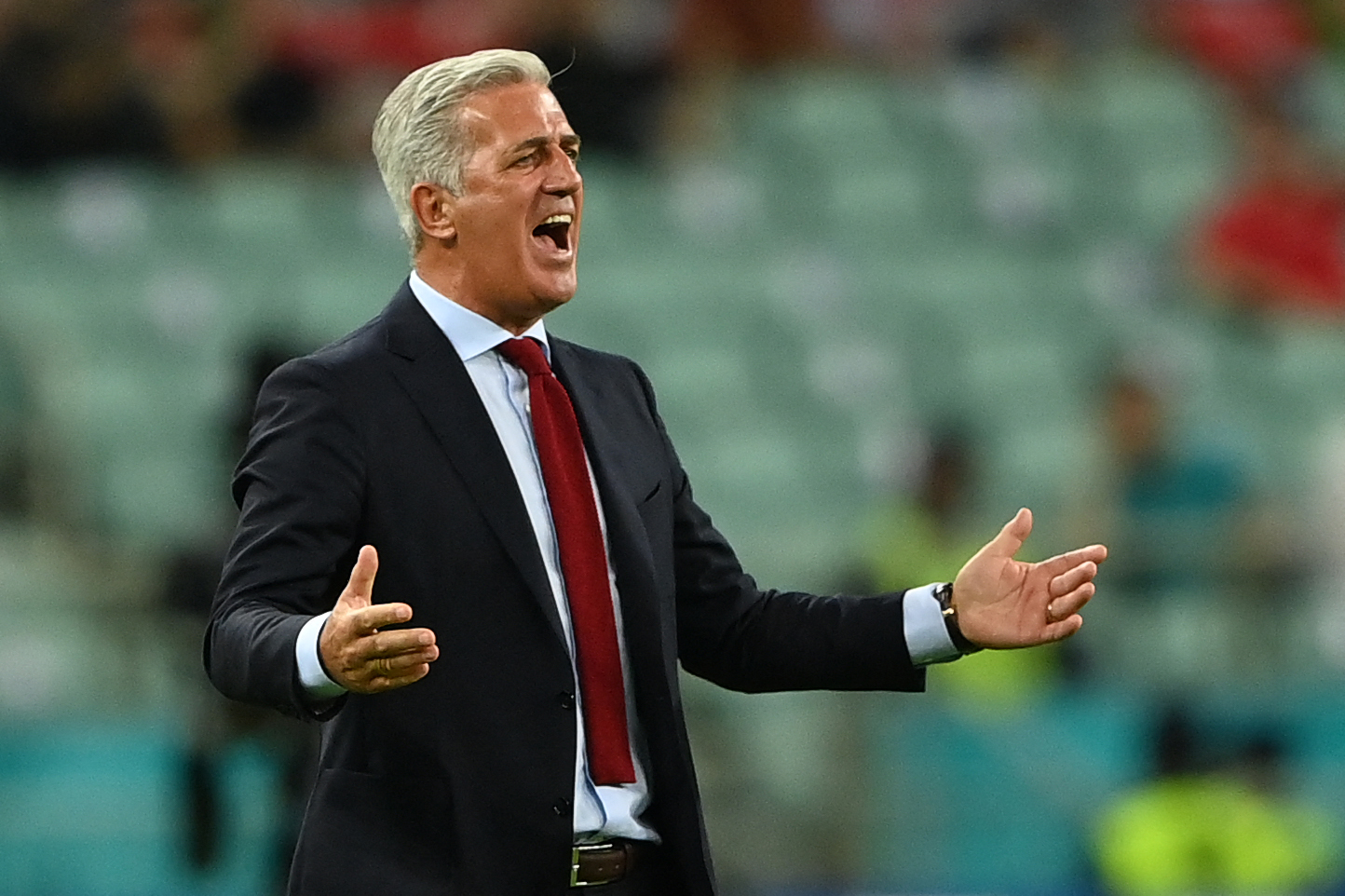 Pelatih Timnas Swiss Vladimir Petkovic