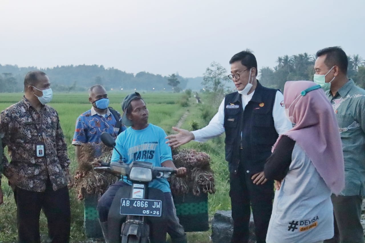 Kementan Ajak BPP Pandak-Bantul Kembangkan Bawang Merah dan Domba