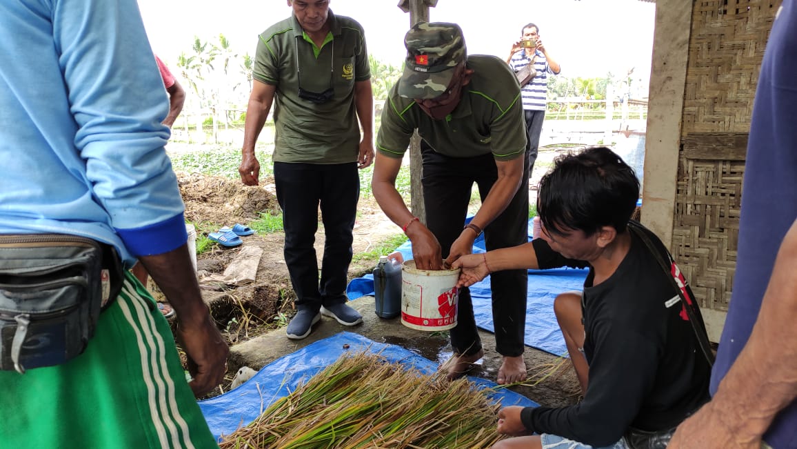 Tim pendamping dari Universitas Warmadewa Bali mendampingi kelompok tani dalam melakukan fermentasi jerami padi untuk pakan ternak.
