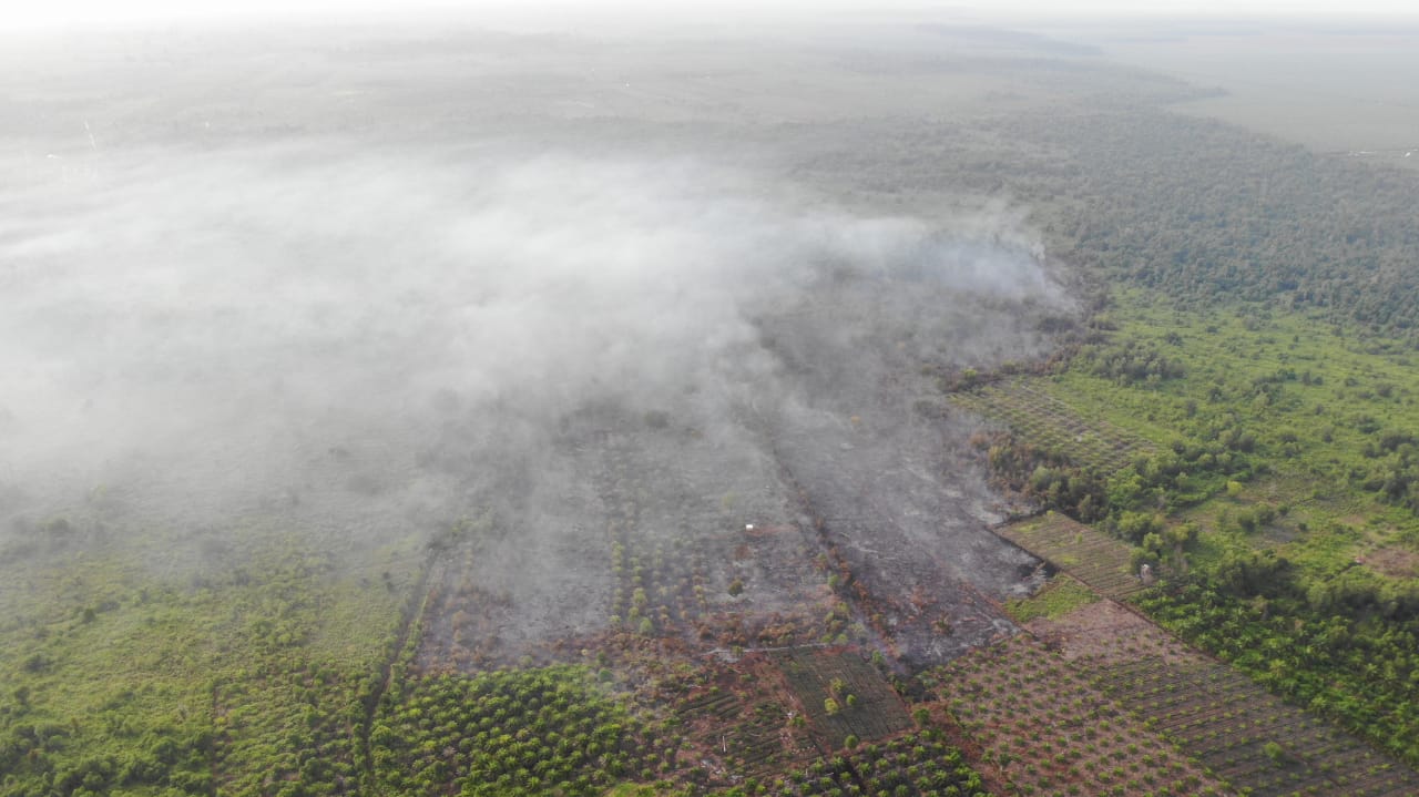 Karhutla Bisa Picu Peningkatan Kasus Covid-19 di Indonesia