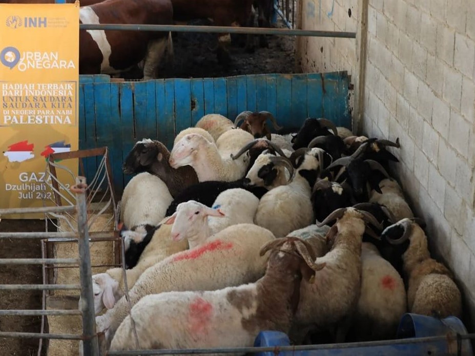 INH Tebar Kurban ke Enam Negara