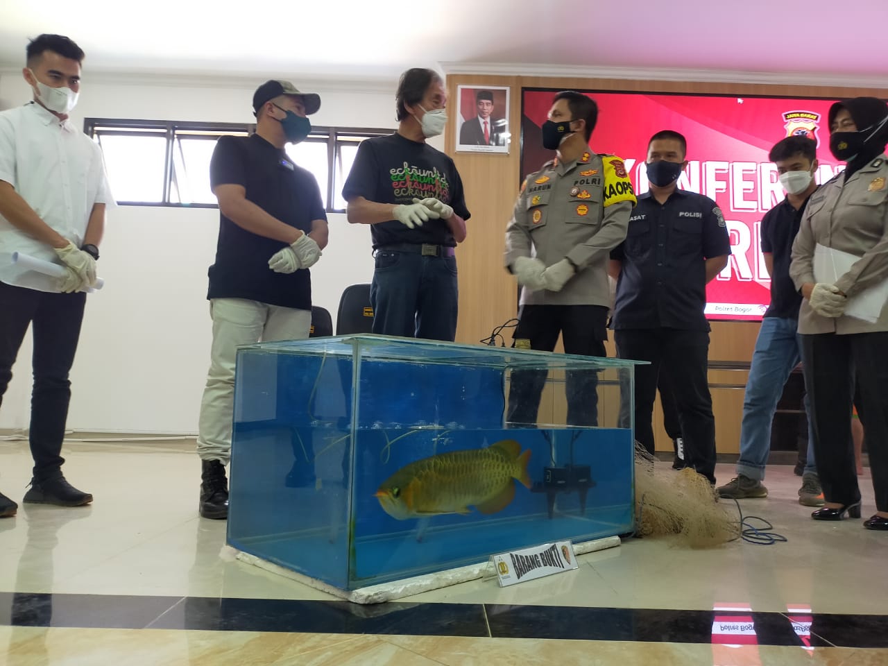 Polres Bogor Ungkap Kasus Pencurian 400 Ikan Arwana Senilai Rp24 Miliar