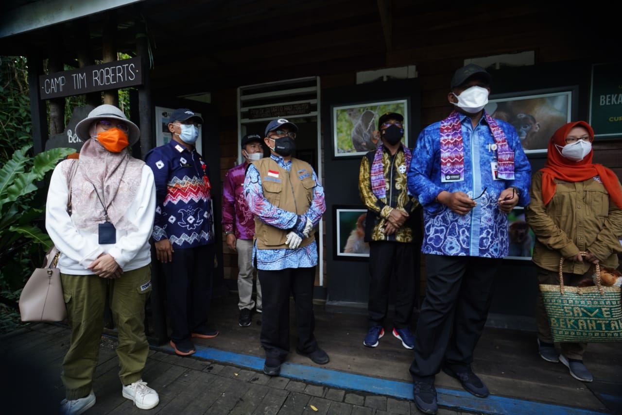 Pemprov Kalsel Bantu Yayasan Sahabat Lestarikan Bekantan 