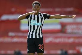 Newcastle Ingin Kembali Pinjam Willock yang Tampil Mengesankan