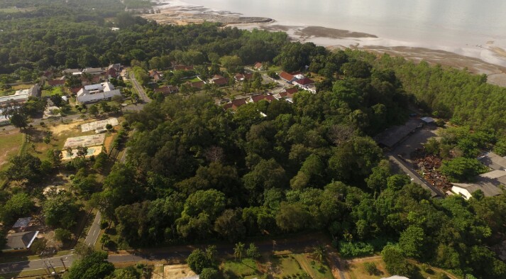 Hutan kota unmet muntok 2,2 hektar di kelola PT Timah sebagai bentuk restorasi ekosistem berkelanjutan.
