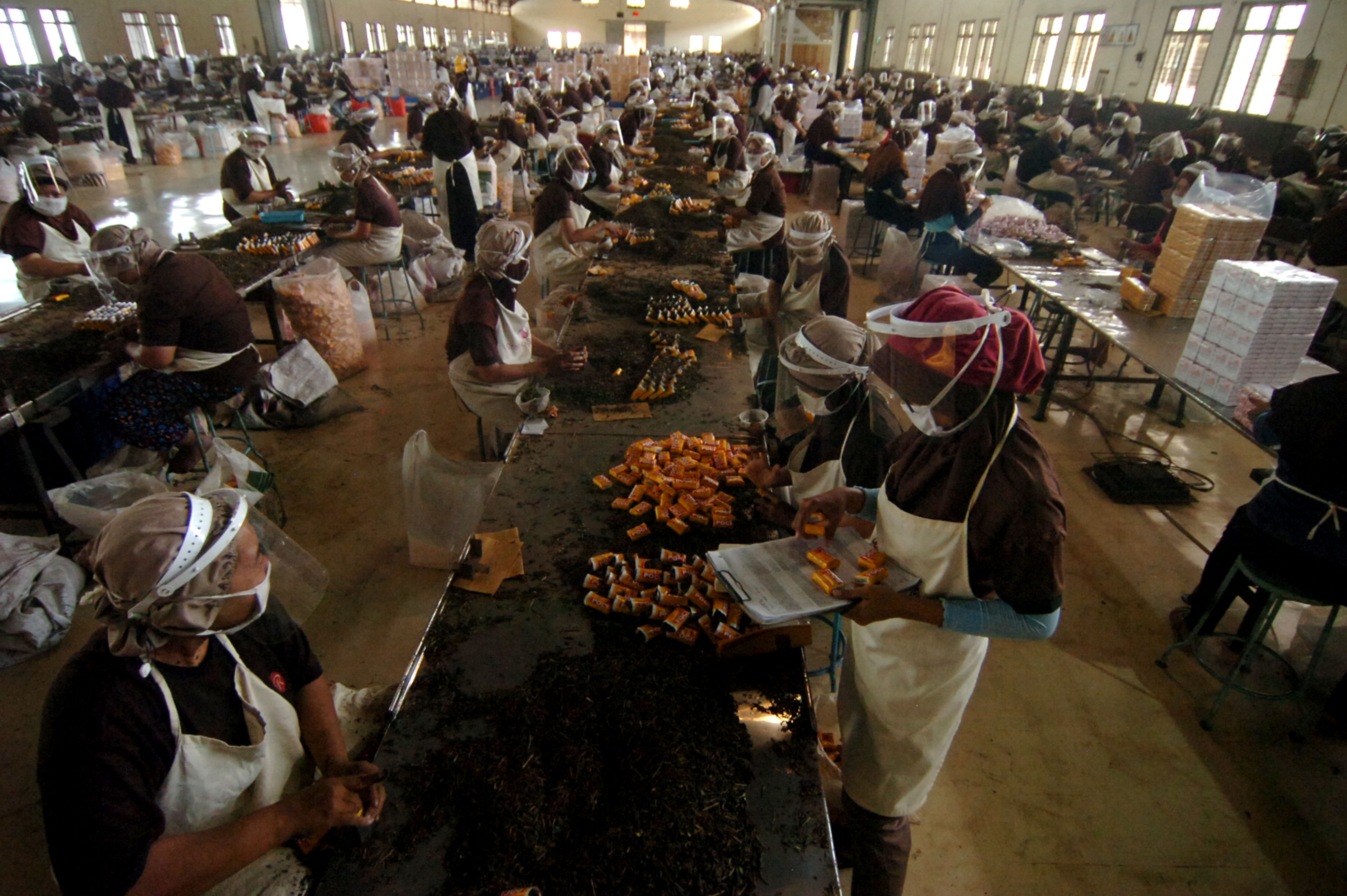 Sejumlah pekerja membungkus teh di salah satu pabrik wilayah Kabupaten Tegal, Jawa Tengah.