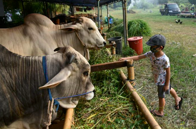 Walkot Bandung: Berdiam di Rumah Bagian dari Berkurban