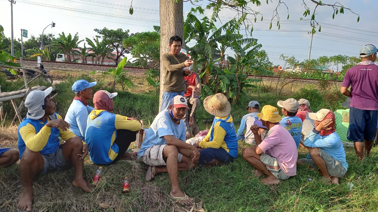 DPD Partai Nasdem Brebes Sosialisasikan Pupuk KSM ke Petani