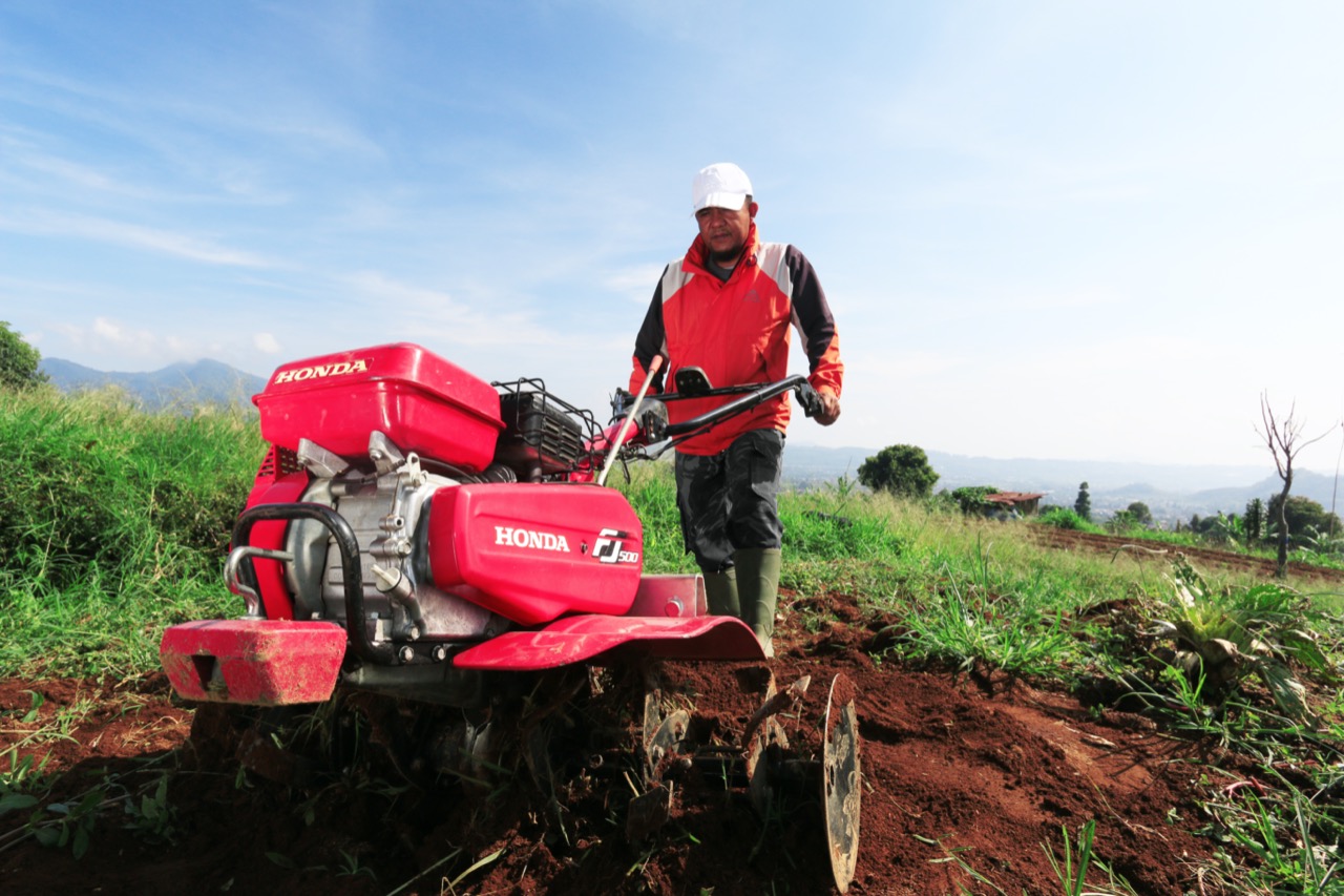 Seorang petani tengah menggarap lahan pertanian