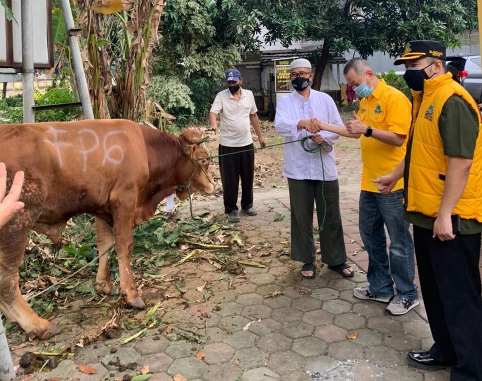 Ketua DKM Mushala Al Garuda Suharto (kopiah) menerima sapi kurban dari Ketua DPD Golkar Jakarta Barat, M. Richard