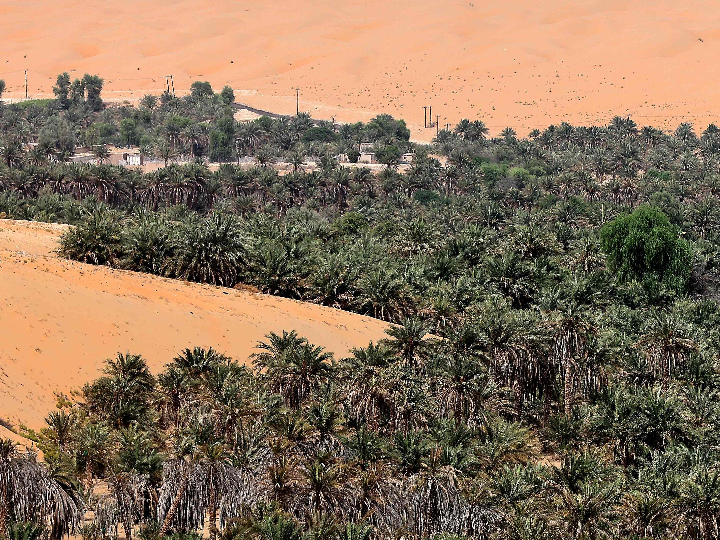 Oasis Liwa Abu Dhabi, Uni Emirat Arab.