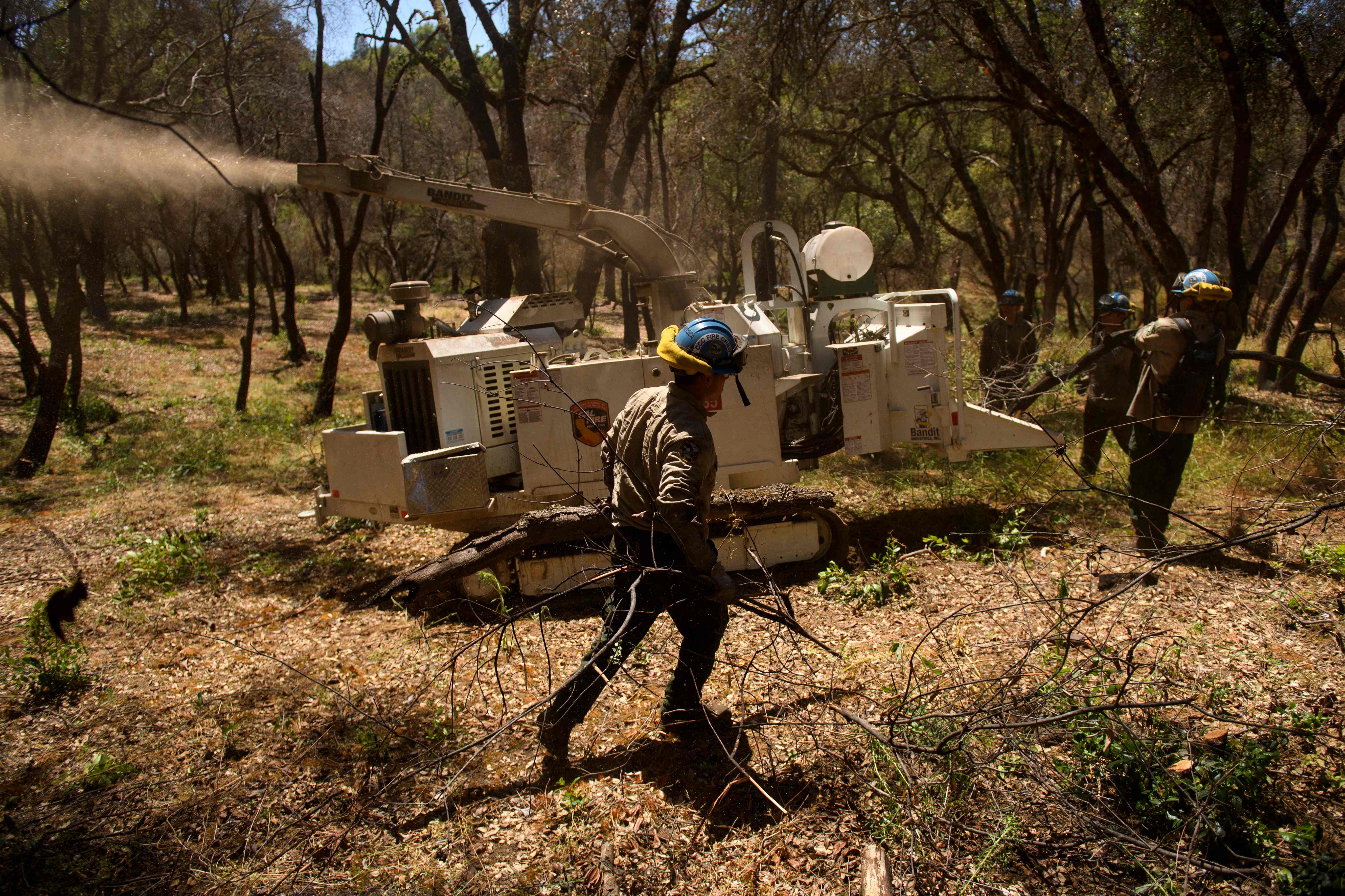 Lebih dari 60 Kebakaran Landa Wilayah Barat AS