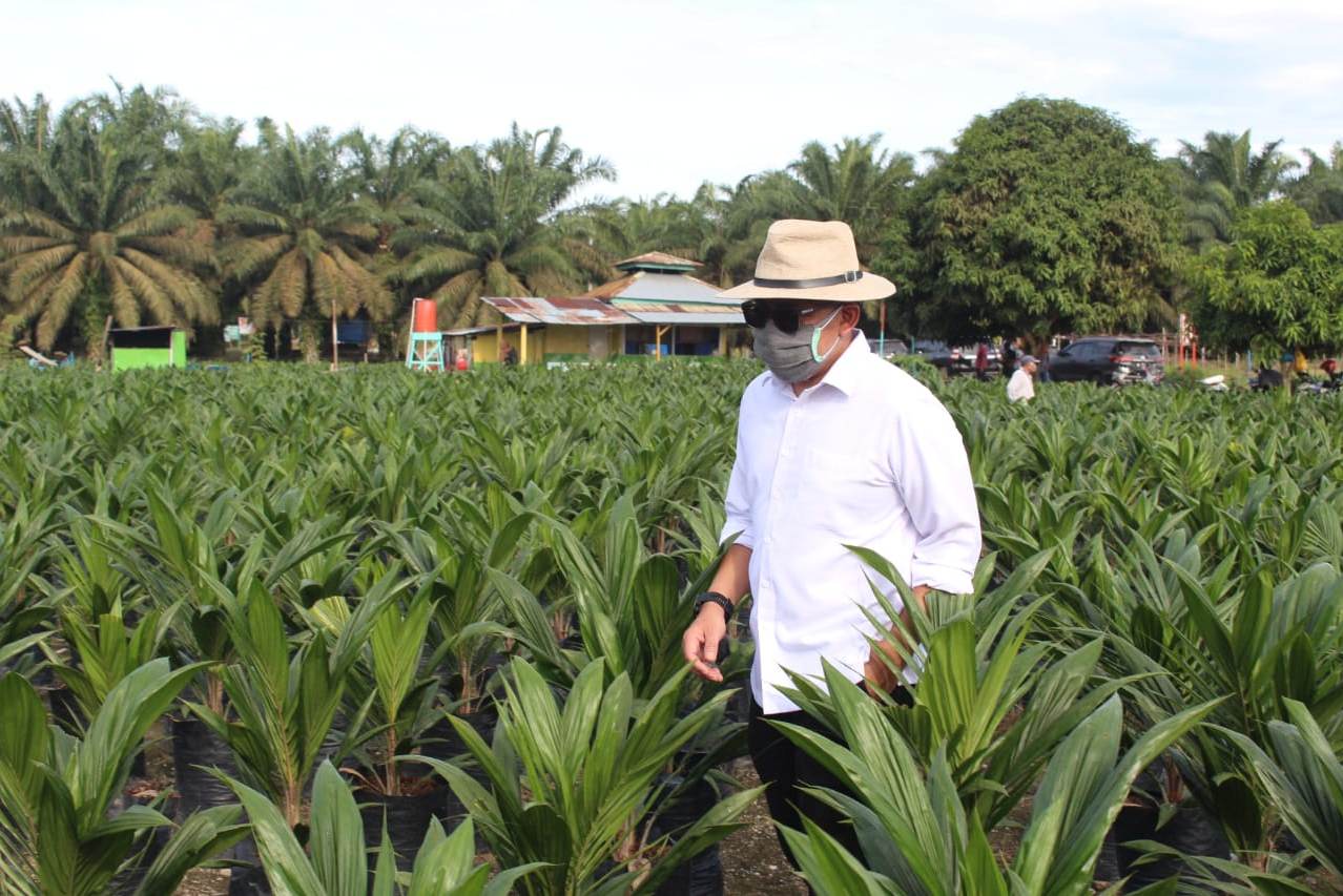 Chief Executive Officer PTPN V Jatmiko K Santosa.