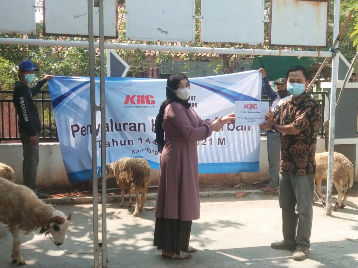 Secara simbolis perwakilan KIIC menyerahkan 56 hewan kurban yang terdiri dari 3 sapi dan 53 kambing/domba kepada para penerima. 