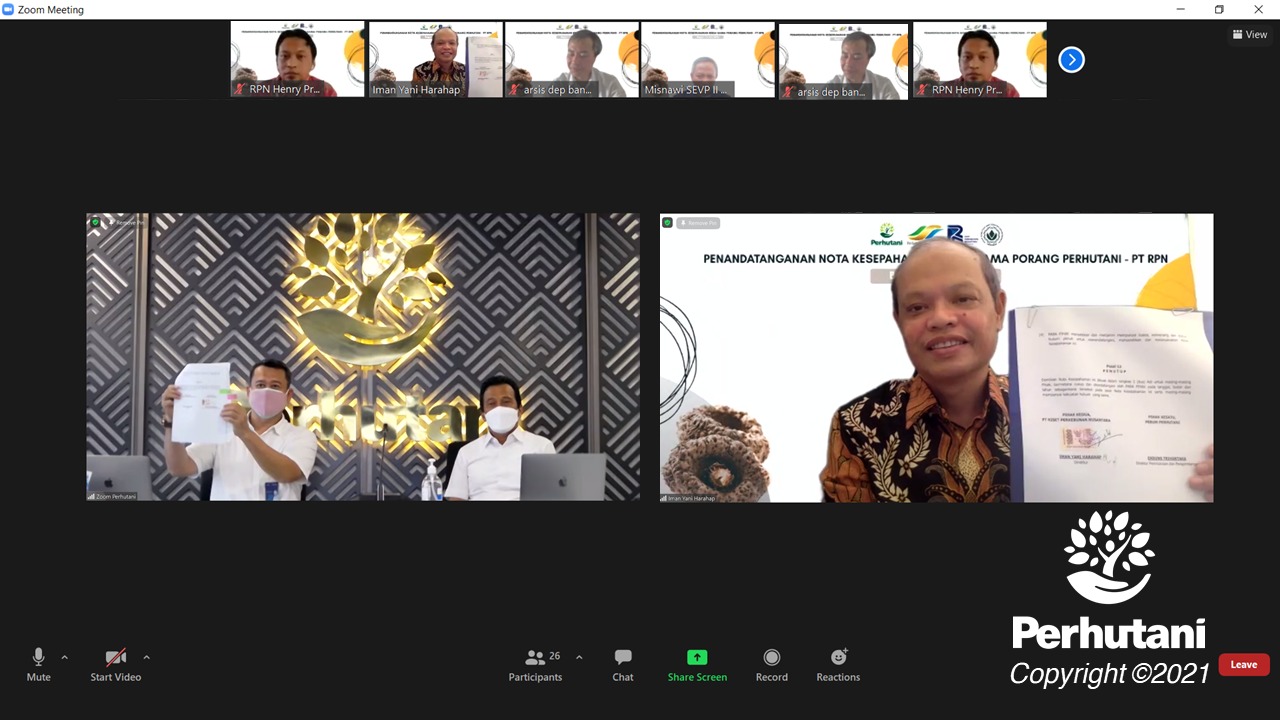 Perhutani Kembangkan Tanaman Porang di Dua KPH Jawa Timur