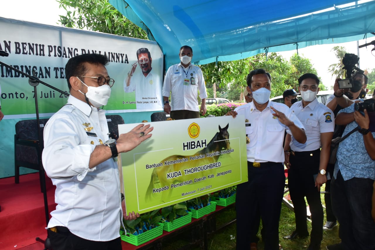 Menteri Pertanian RI Syahrul Yasin Limpo serahkan benih pisang