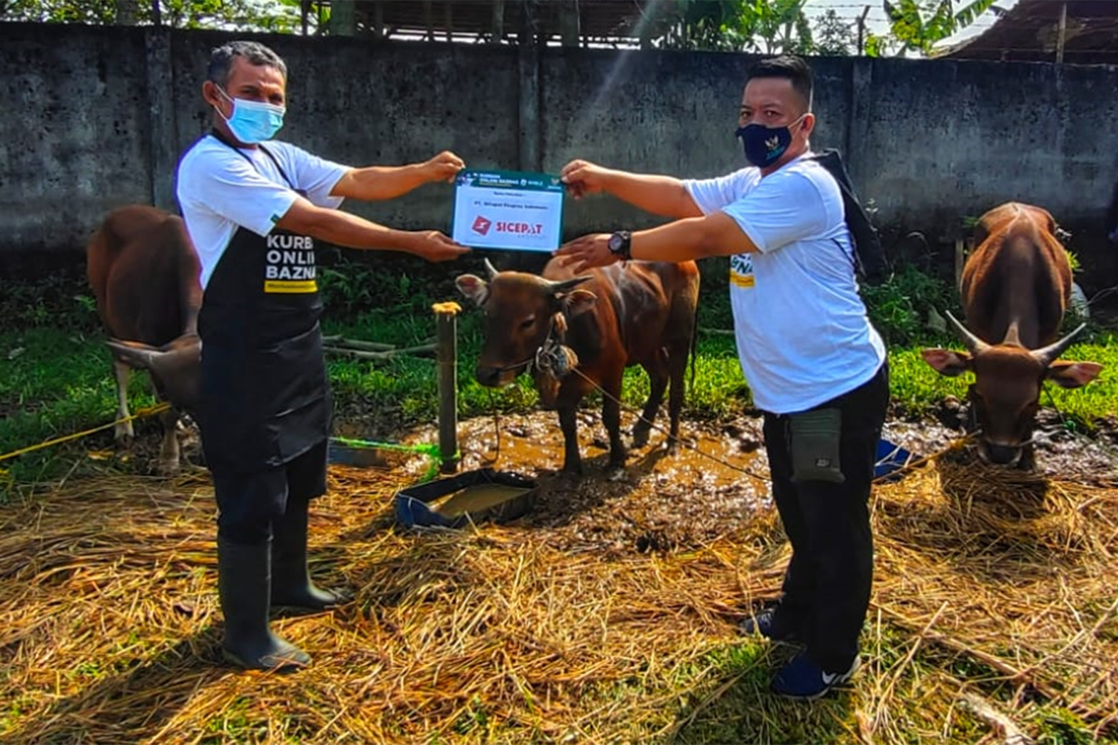 Penyaluran daging kurban yang dilakukan secara simbolis.