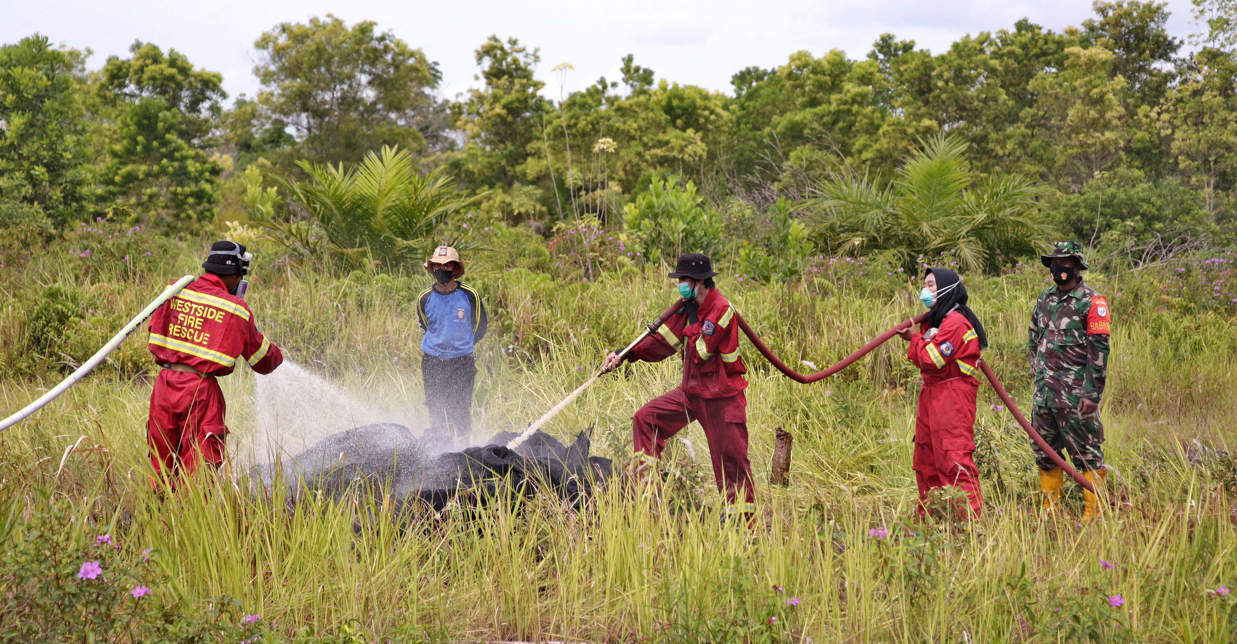 Buka Lahan Tanpa Bakar Agroforestry Riau Bisa Cegah Karhutla