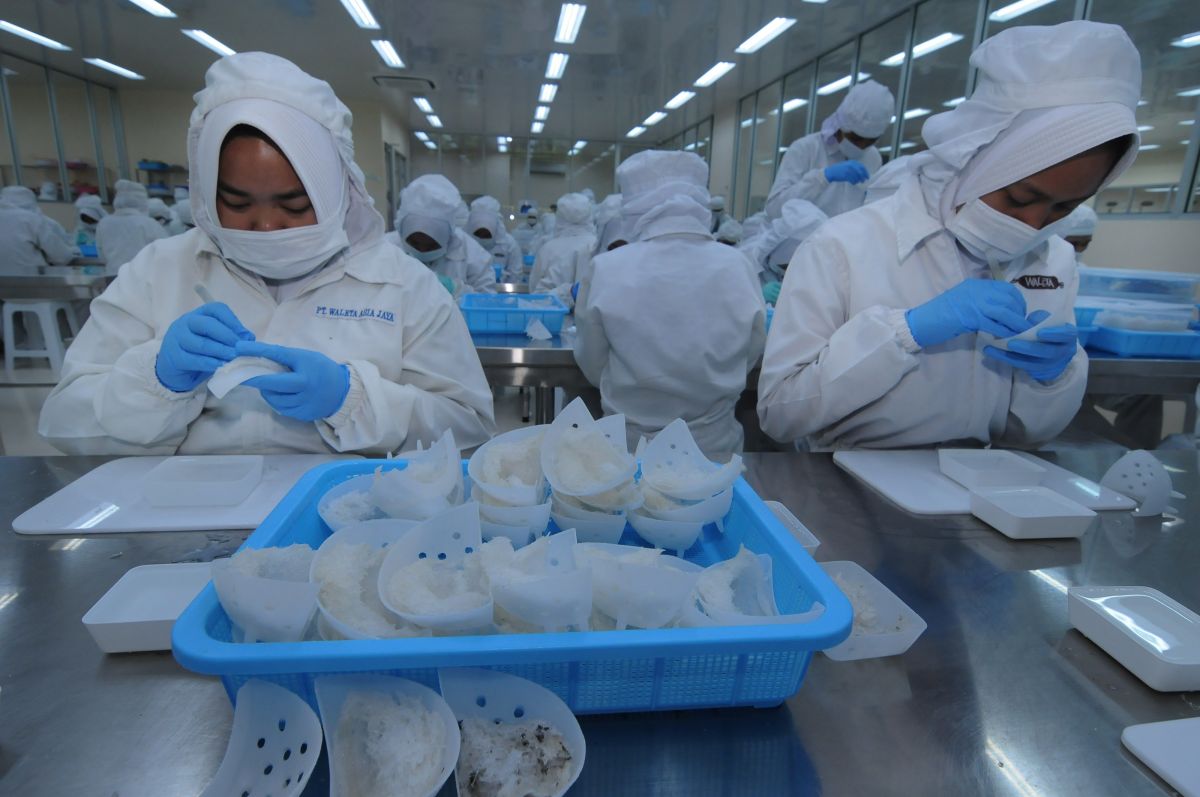 Sarang burung walet memberi kontribusi besar pada peningkatan ekspor pertanian tahun ini.