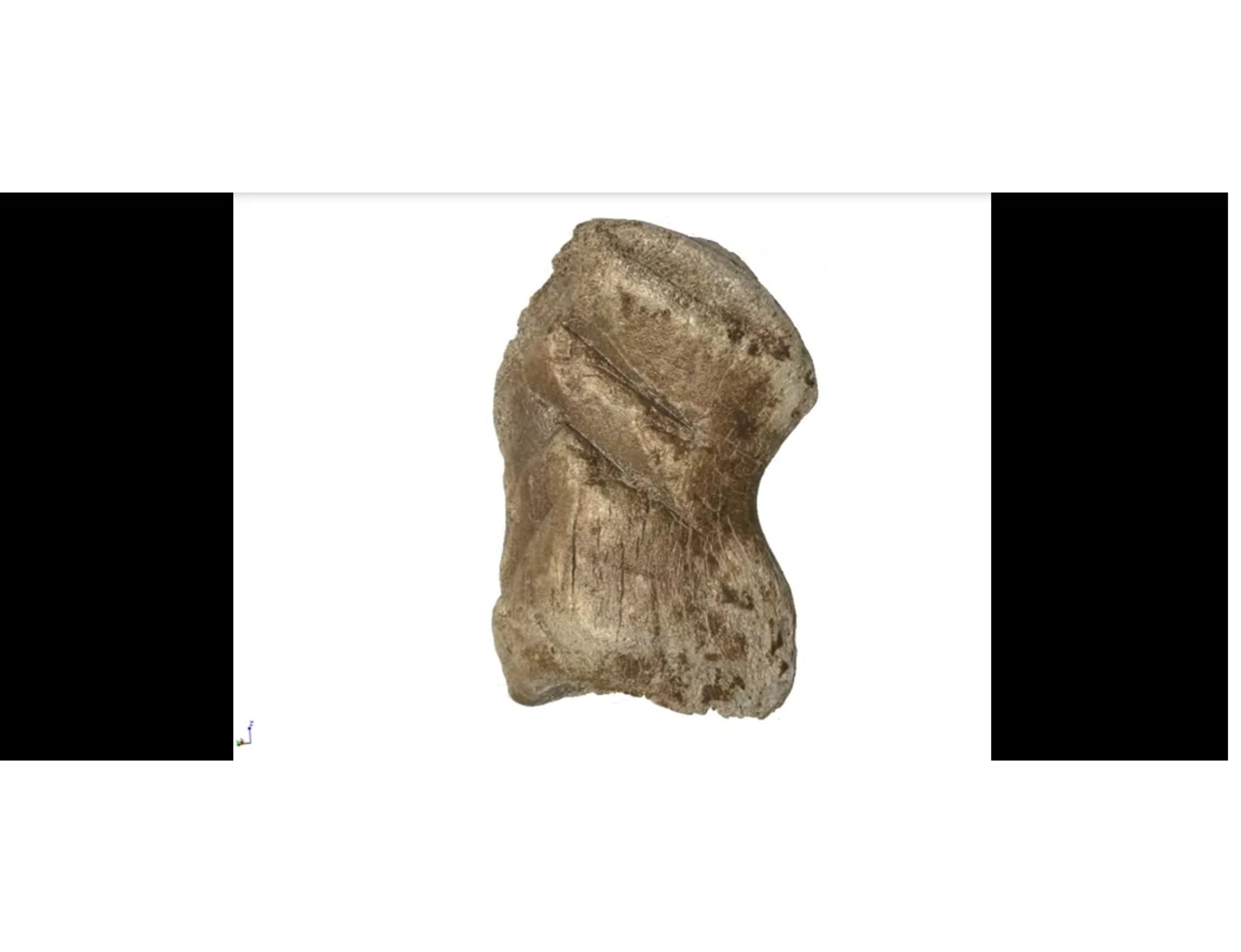 Karya seni di tulang rusa yang diprediksi berusia 51 ribu tahun. 