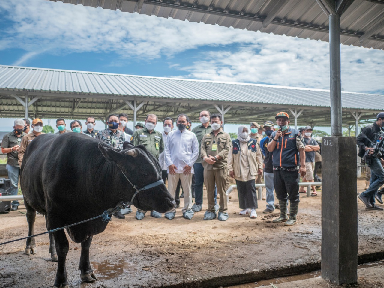 Mentan Syahrul Tinjau Kesiapan Kurban di Kota Makassar