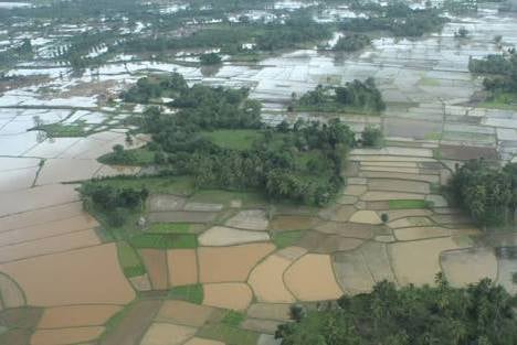 Banjir yang merendam lahan sawah di Aceh beberapa waktu lalu.