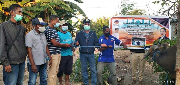 Bantuan hewan kurban dari anggota DPR RIN Fraksi NasDem untuk warga Adonara