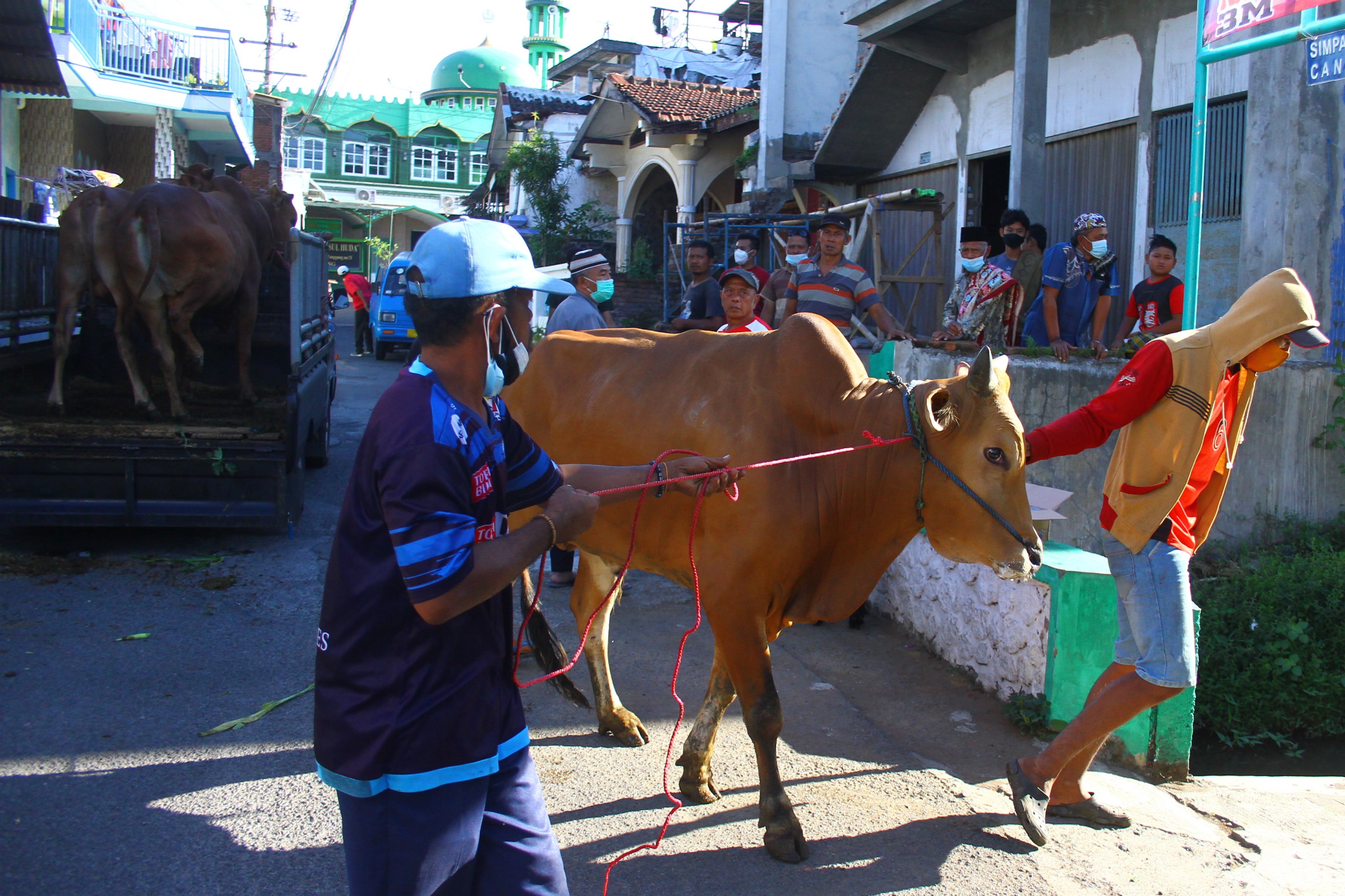  Warga menggiring hewan kurban menuju masjid jelang perayaan Hari Raya Idul Adha di Malang, Jawa Timur, Senin (19/7/2021)