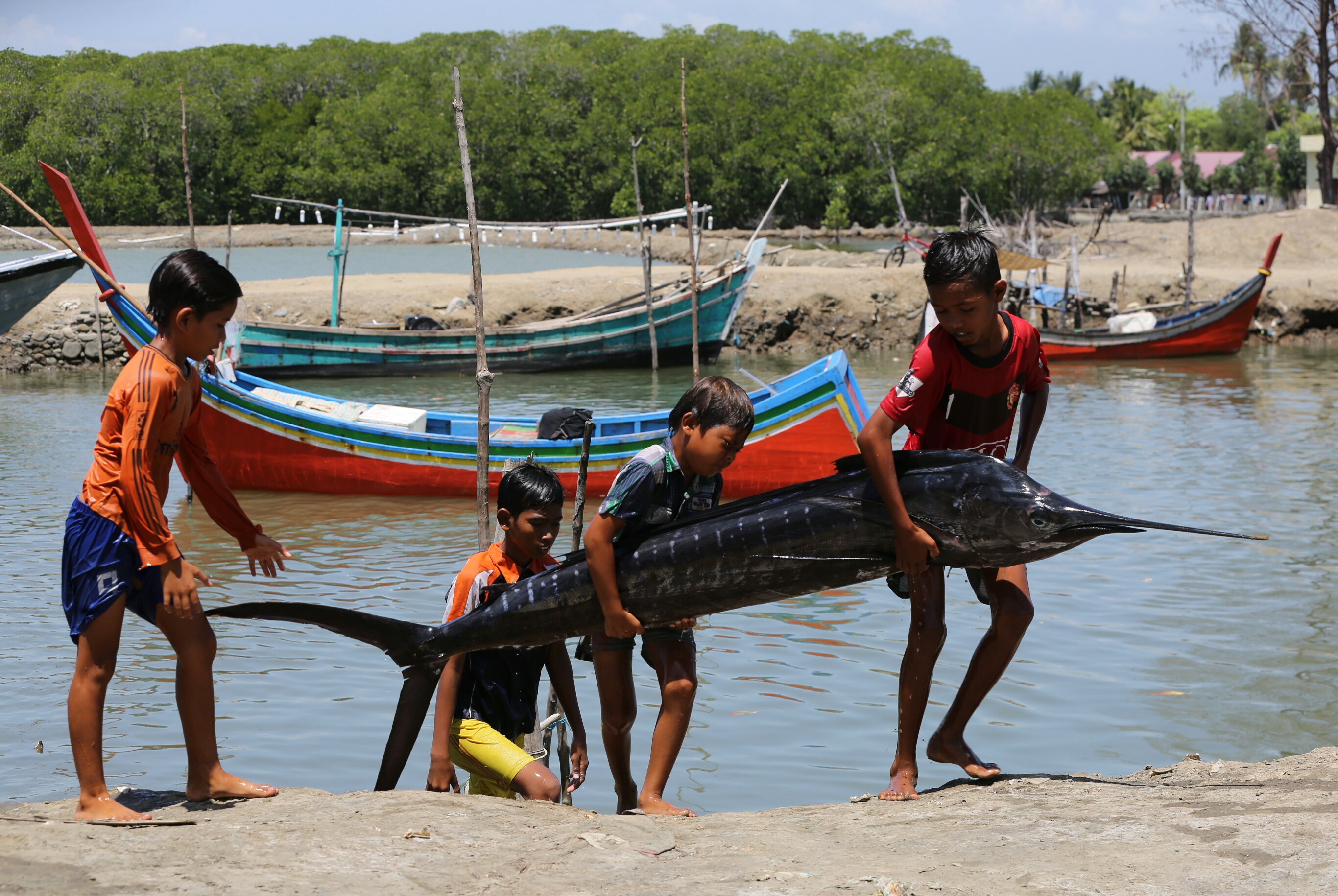 Anak-anak sedang mendaratkan ikan dari kapal kayu di kampung nelayan Kuala Gigieng, Kecamatan Simpang Tiga, Kabupaten Pidie, Provinsi Aceh, 