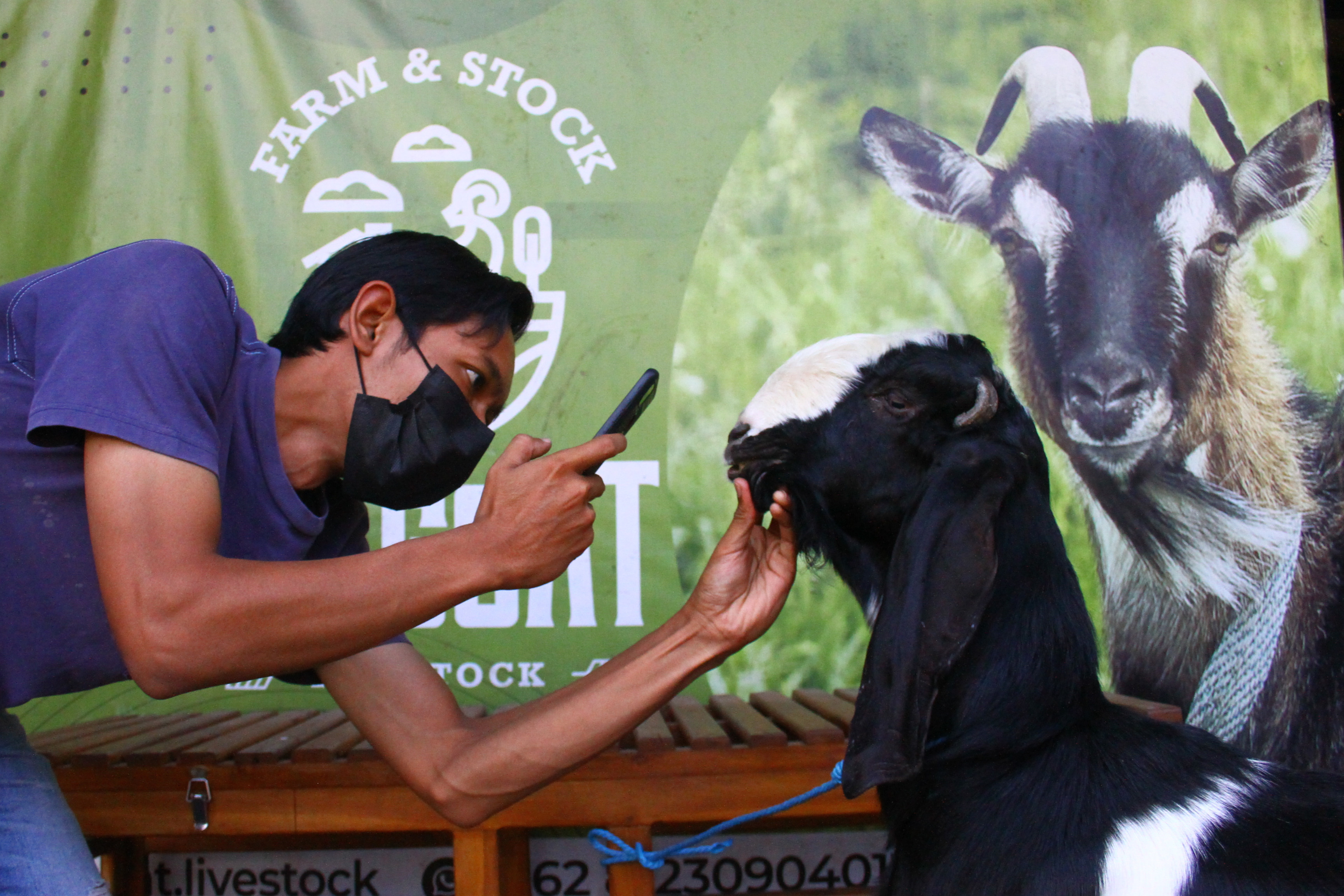 Cegah Kerumunan, Menag: Daging Kurban Harus Diantarkan Langsung