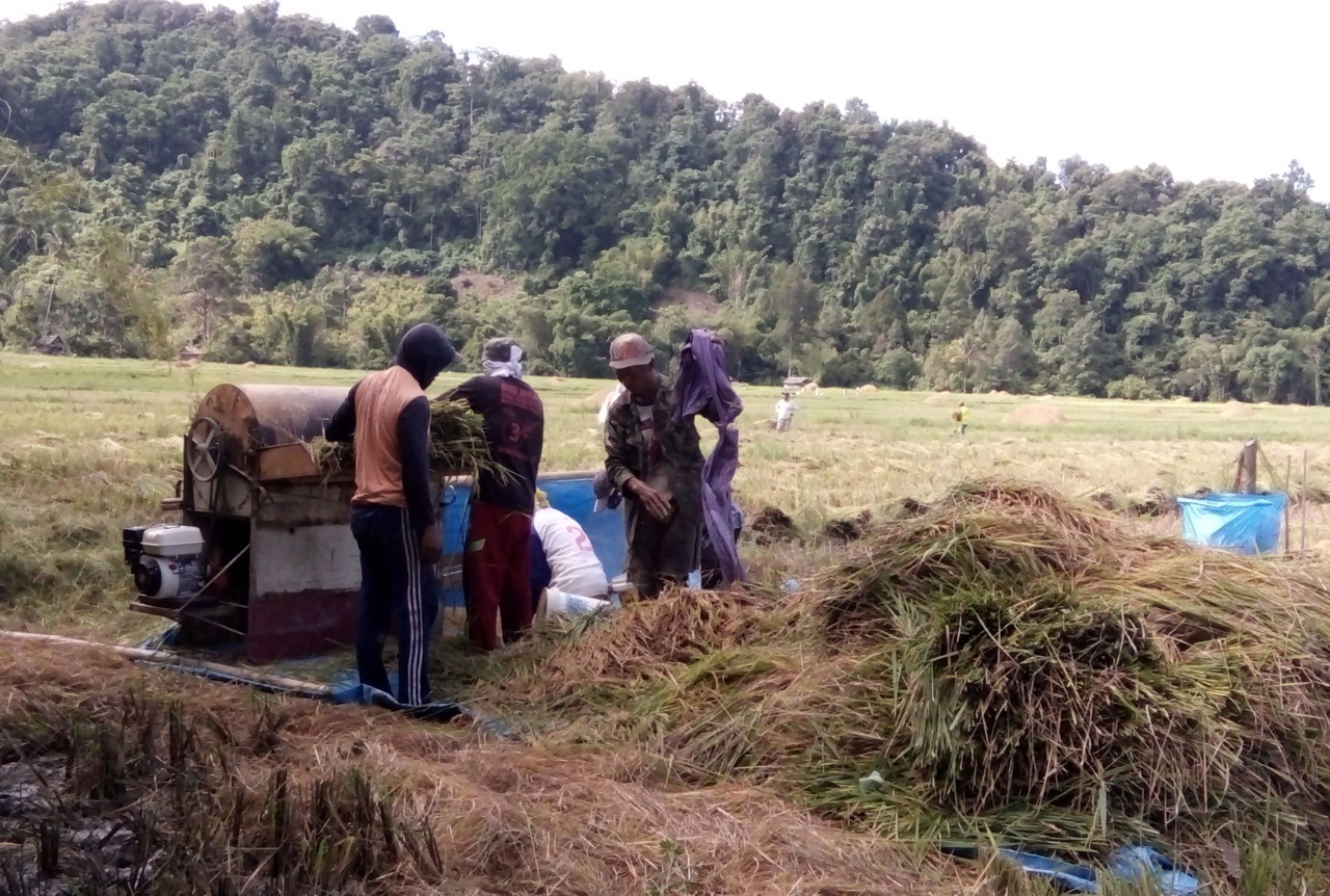 READSI mampu meningkatkan produksi pertanian di Pamona Puselemba, Kabupaten Poso, Sulawesi Tengah. 