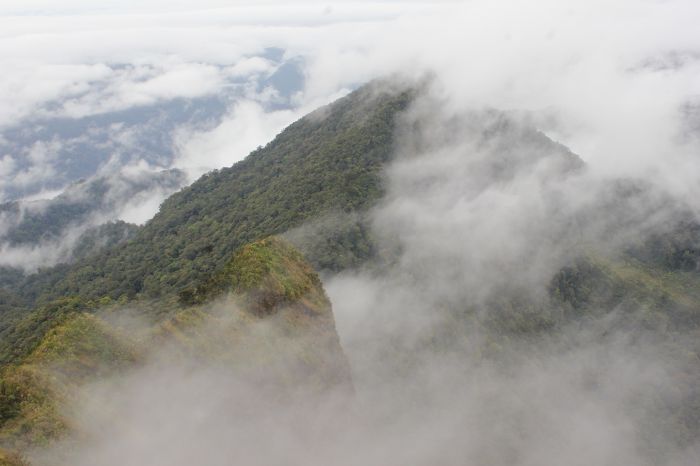 Puncak pegunungan Meratus, Kalimantan Selatan.  