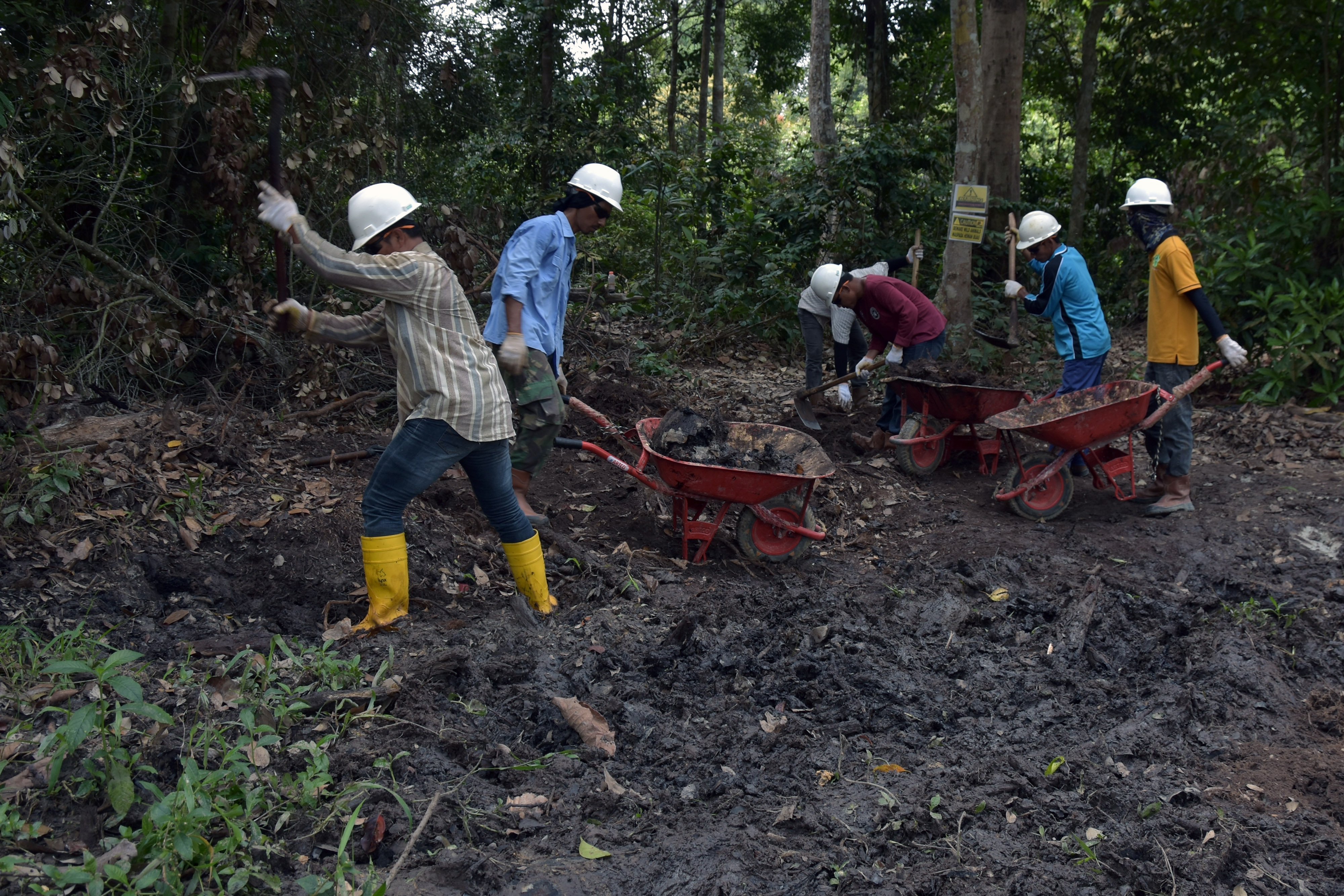  Membersihkan tanah terkontaminasi minyak di Minas, Riau.