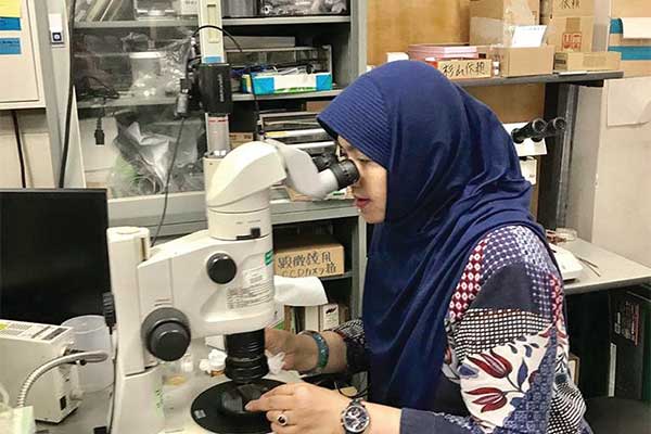 Proses memilih kristal tunggal.