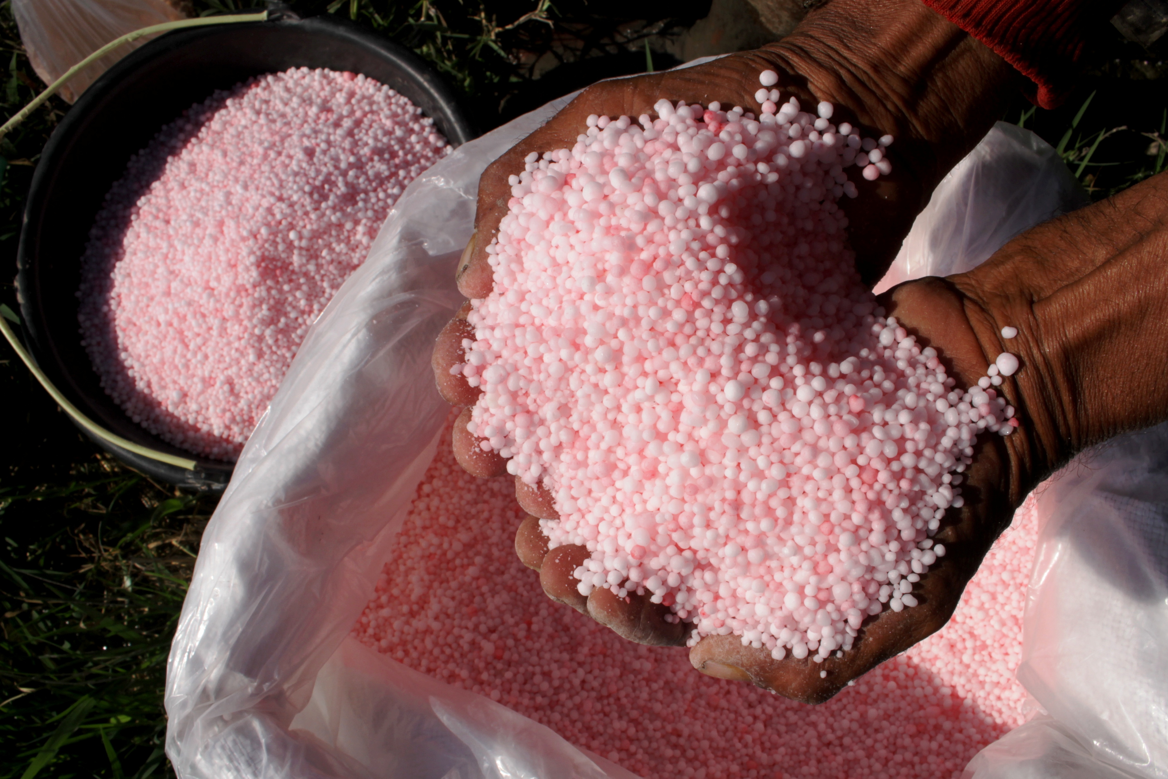 1.740 Ton Pupuk Bersubsidi Disalurkan ke Petani